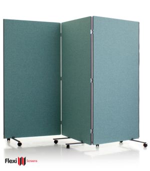 Portable Partition Flexi-Screens