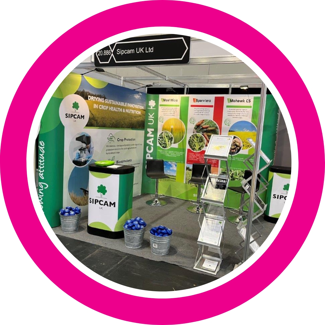 L Shape Pop Up Stand